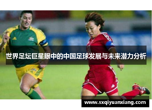 世界足坛巨星眼中的中国足球发展与未来潜力分析
