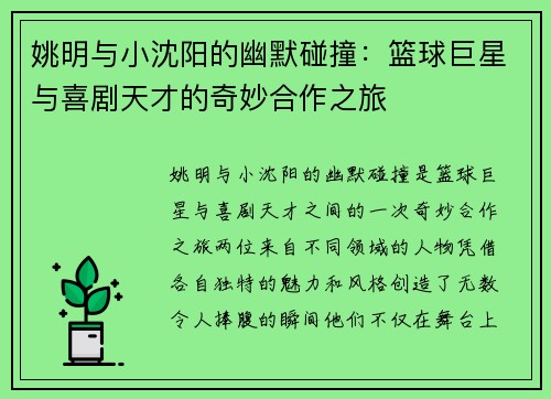 姚明与小沈阳的幽默碰撞：篮球巨星与喜剧天才的奇妙合作之旅
