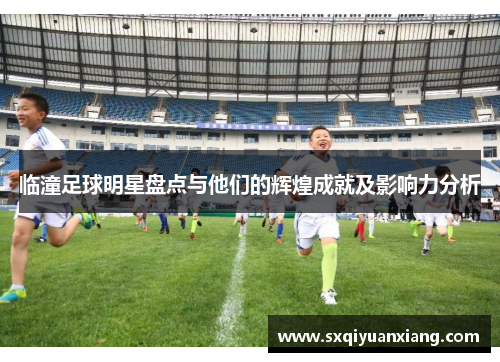 临潼足球明星盘点与他们的辉煌成就及影响力分析