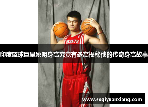 印度篮球巨星姚明身高究竟有多高揭秘他的传奇身高故事