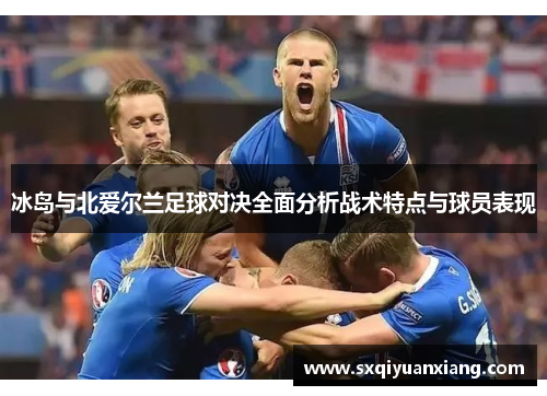 冰岛与北爱尔兰足球对决全面分析战术特点与球员表现