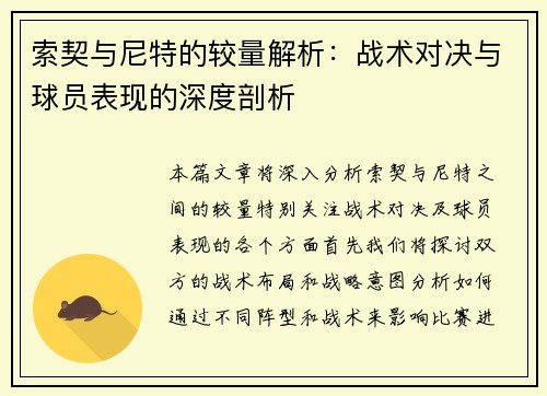 索契与尼特的较量解析：战术对决与球员表现的深度剖析