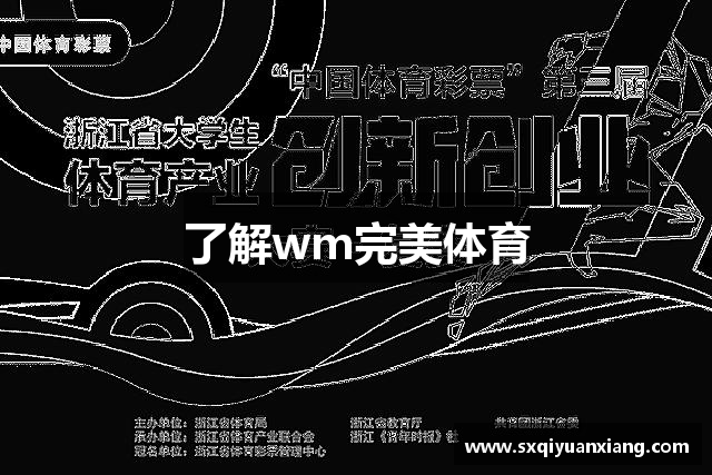 了解wm完美体育